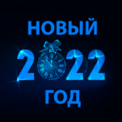 Новый год Бузулукский бор 2022