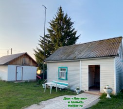 Домик Лютик Бузулукский бор