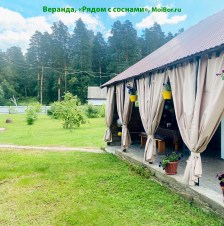 Красивый вид со двора, Рядом с соснами — Бузулукский бор