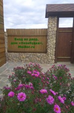 Цветы у дома и вход во двор, дом «Незабудка» в Бузулукском бору