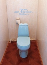 Туалет, «Боровка»