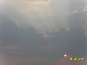 Солнце садится, Бузулукский бор