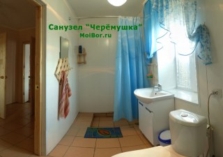 Туалет и душ внутри дома Черемушка Бузулукский бор